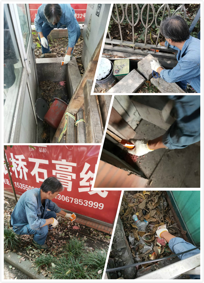 尊龙凯时市场开展冬季灭鼠