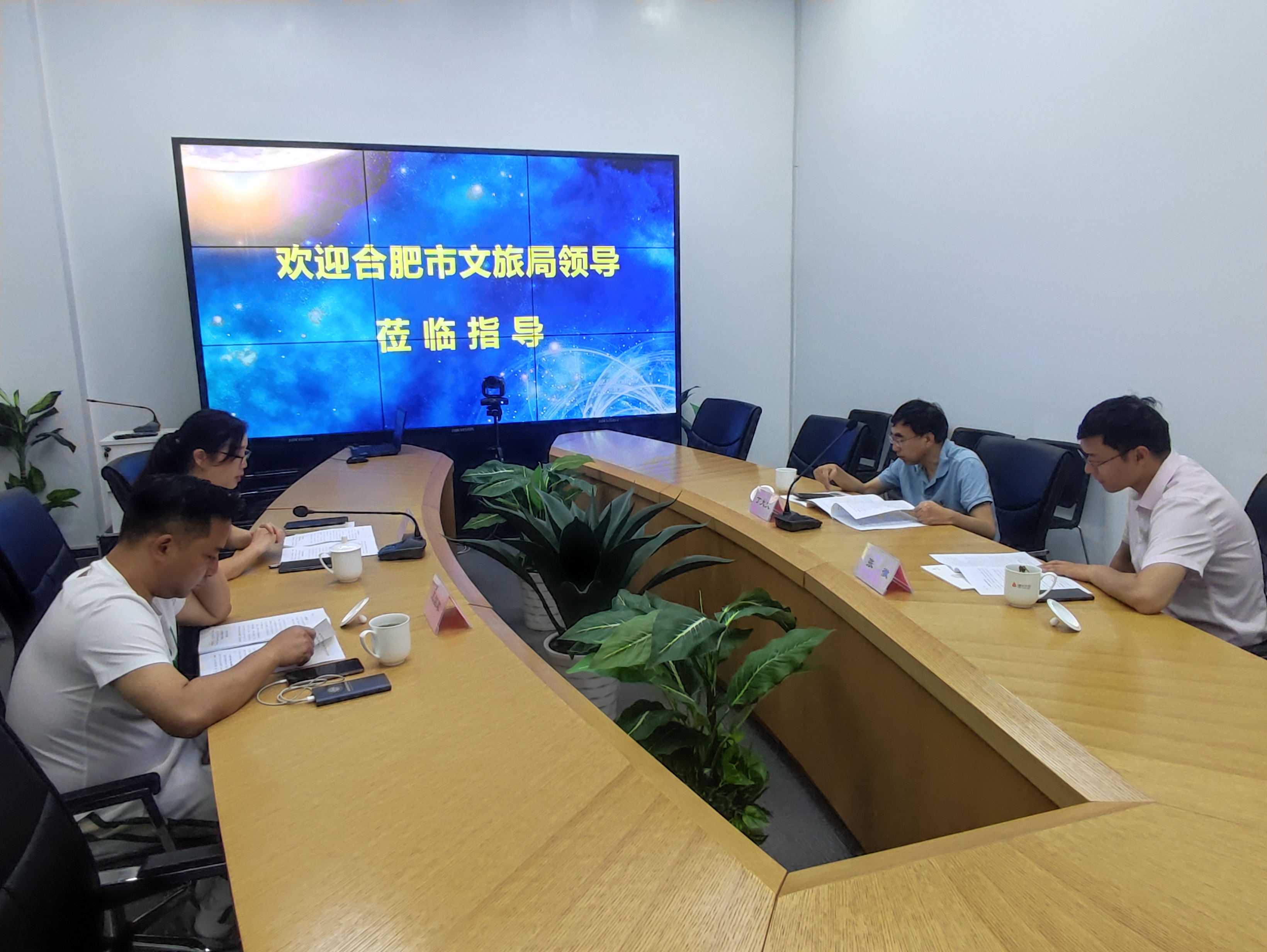 合肥市文化旅游局丁大文处长一行莅临尊龙凯时文创集团调研