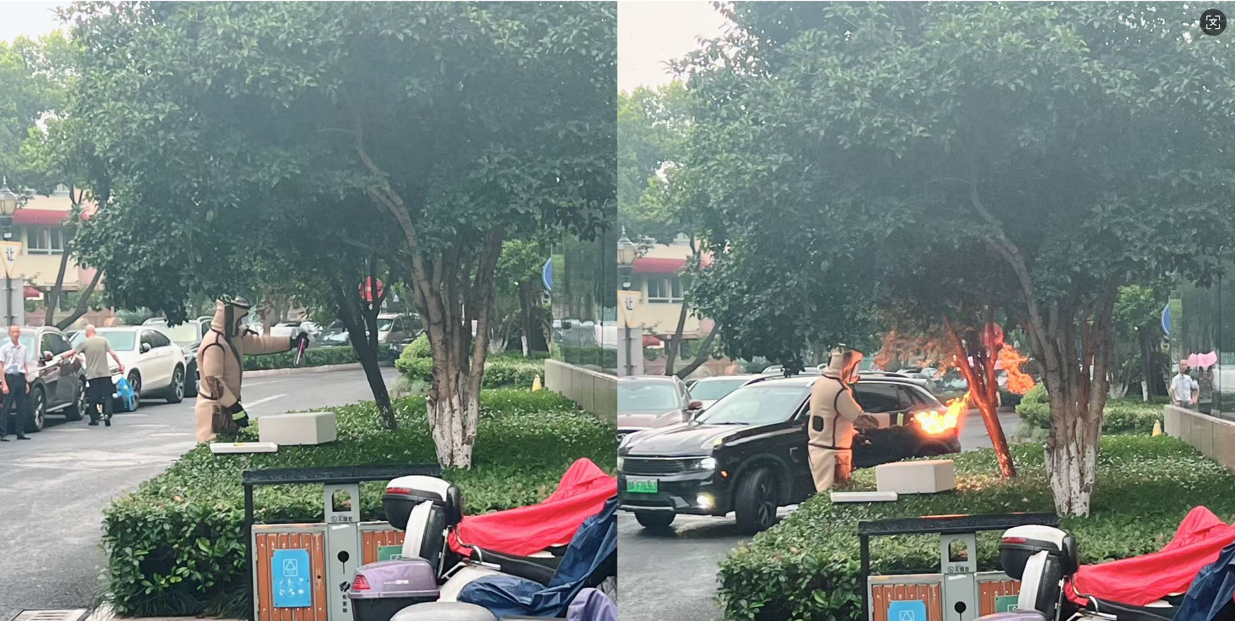 安全守护零距离，，，，，，，水晶城快速处置外围蜂群隐患