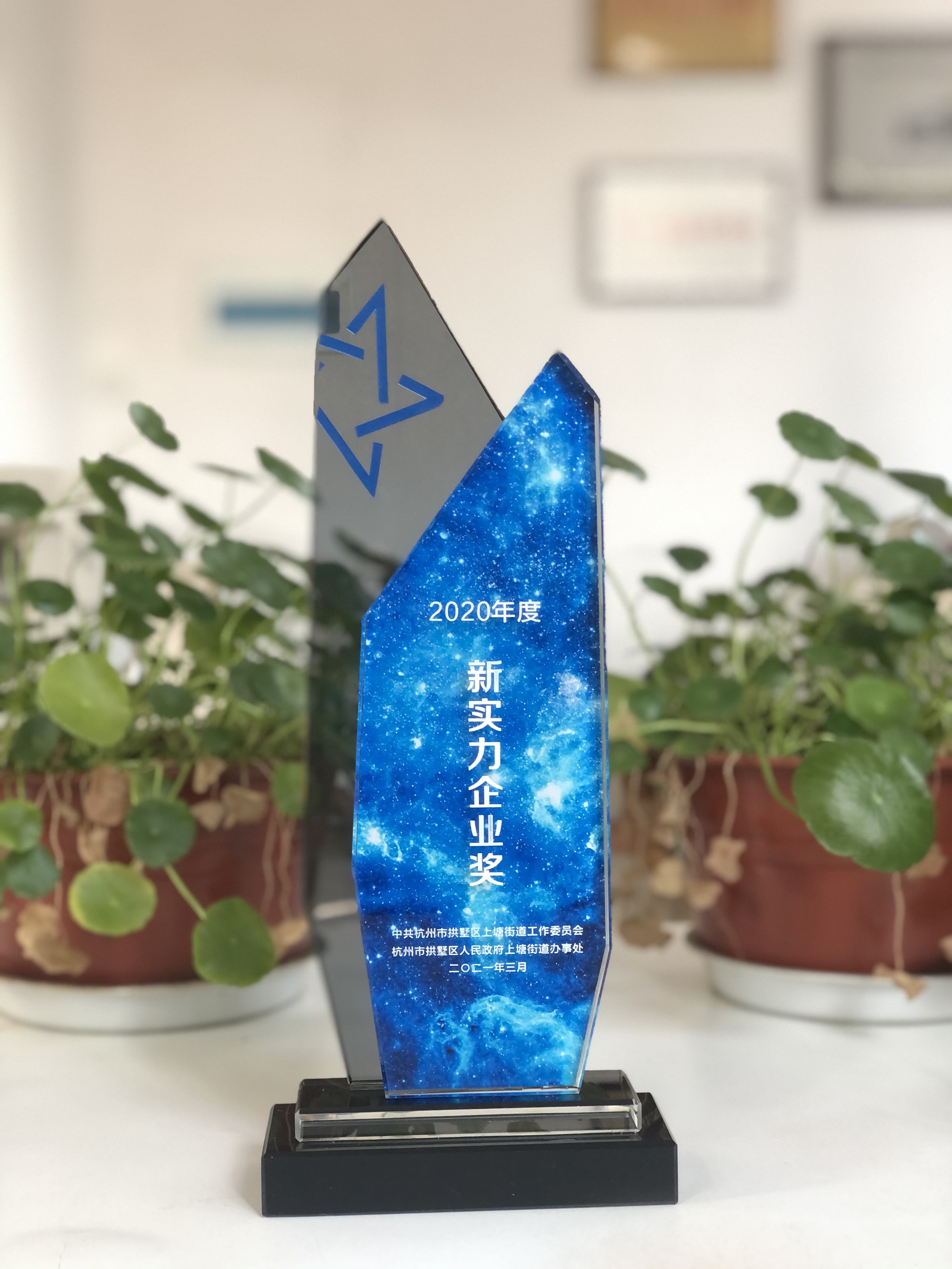 浙江尊龙凯时网络科技有限公司荣获“新实力企业奖”